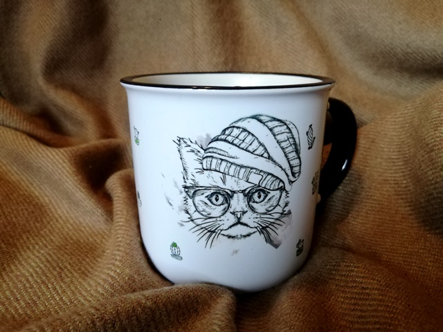 Кактусы. Печать на чашке. Кот в очках. Чашка и кот в шапке. Чашка с котом. Чашка с кактусами. Печать кота. Кіт на кружці.